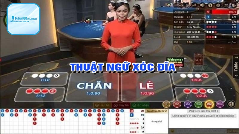 Thuật ngữ trong cách chơi xóc đĩa