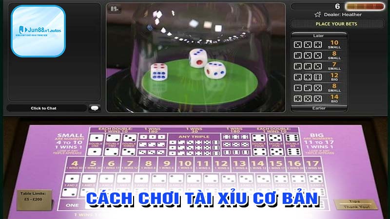 Cách chơi tài xỉu cơ bản